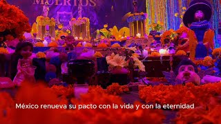 OFRENDA DÍA DE MUERTOS  2024 [upl. by Acirea678]