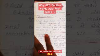 AFB Staining AFB Bacilli ko acid fast kyu bolte haimedical microbiology biology viralshort [upl. by Mehta]