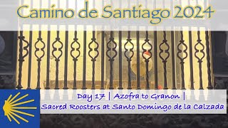 Camino Day 17 Azofra to Granon Sacred Roosters at Santo Domingo de la Calzada [upl. by Miguela]