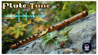 Flute Ringtone  Flute Tune  New Instrumental Music [upl. by Neiluj]