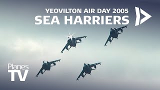 Sea Harrier Farewell Yeovilton Air Day 2005 [upl. by Soloma392]