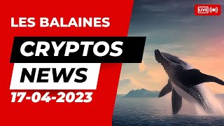 Actualité cryptomonnaies du 17 04 2023  Les baleines comment les suivre [upl. by Lledroc]