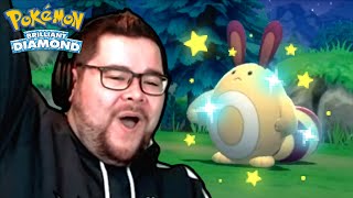 Shiny Sentret Hunt while you wait for Legends Arceus [upl. by Mcclish]