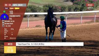 Live Hippodrome « CASABLANCA »  Courses du «13092024 » [upl. by Bella640]