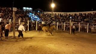 FINAL Rodeio Internacional de Herval Lucas Peres X Esperança Tropilha Mansa [upl. by Rahcir954]