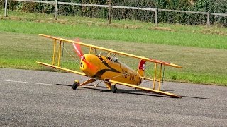 BÜCKER BÜ133 YOUNG MASTER RC SCALE AIRPLANE FLIGHT AND HARD LANDING  RC Airshow Hausen aA 2015 [upl. by Pinkerton353]