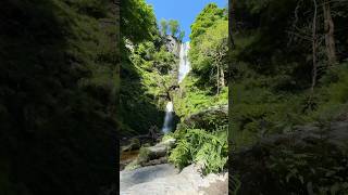 📍Pistyll Rhaeadr Wales waterfall countryside views nature sightseeing wales mustvisit [upl. by Aihseit445]