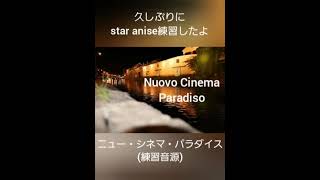 Nuovo Cinema Paradiso with doublebass and accordion [upl. by Cheffetz]