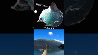 Physics High amp low Tides  Animation Explain shorts physics animation science viral tranding [upl. by Aseneg763]