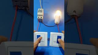 👷⚡2 ways switch wiring diagram practice diy wirring switchwiring electrical shorts asmr tips [upl. by Annais]