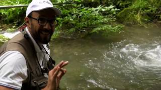 Forme dAcqua  Documentario Abruzzo FIOPS [upl. by Nerta132]