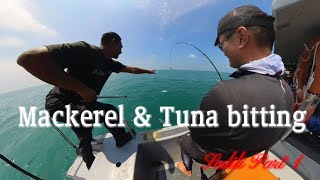 Fishing Ep6Sedili part 1 Good weather good captain and most importantly fish is biting [upl. by Ahsieuqal384]