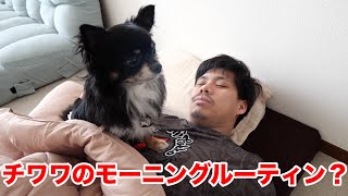 フィッシャーズの朝ってどんな感じ？マサイの愛犬チクワと朝ごはん！ [upl. by Aneertak227]