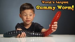 WORLDS LARGEST GUMMY WORM vs KID [upl. by Nataline]