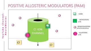 NEUROSCIENCE  POSITIVE AND NEGATIVE ALLOSTERIC MODULATORS WITH EXAMPLES [upl. by Boudreaux]