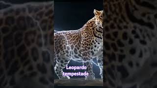 HIBRIDOS GENIAIS HERÓIS E ANIMAIS Leopardo tempestade [upl. by Nodnahs962]