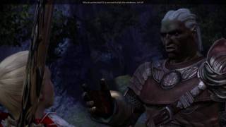 Dragon Age Origins Hidden dialogues with Sten part 1 [upl. by Romano352]