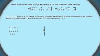 Igualdad de matrices [upl. by Ellocin801]