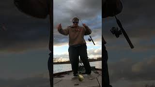 BIG fall crappies fishing fishingvideo anglinglife anglingtips fishingship [upl. by Leclair533]