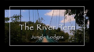 River Tern Lodge  Bhadra Tiger Reserve  Jungle Lodges and Resort  Karnataka [upl. by Kopaz166]