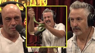 The Longest Comedy Bit In JRE History  Joe Rogan amp Harland Williams [upl. by Ahseral128]