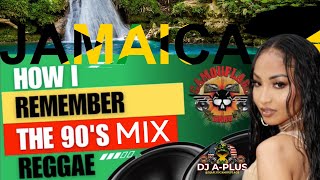 The Best of 90s Reggae Dancehall music mix Camouflage Sound [upl. by Nylasej]