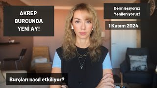 AKREP BURCUNDA YENİ AY  1 Kasım 2024 [upl. by Dinnie454]