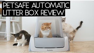 PETSAFE Scoopfree Self Cleaning Litter Box Review  Sven and Robbie [upl. by Ahsikrats]