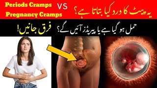 Period Cramps Vs Pregnancy Cramps in urduPeriods Pain Vs Pregnancy Pain EarlySymptoms of Pregnancy [upl. by Ulund]