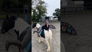 Lidl version of Harlow and Demir horse ilovemyhorse horsecommunity horsetype myhorse farrier [upl. by Mathe]