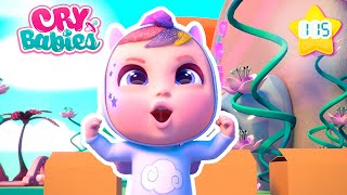 The Olympics are Coming 🏆 CRY BABIES 💧 Magic Tears  Cartoons for Kids [upl. by Kaylil93]