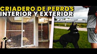 ✅Súper Criadero Canino  Criadero de perros  Dog kennel  instalaciones caninas casas para perros [upl. by Kerman]