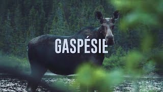 Gaspésie [upl. by Adnawed956]