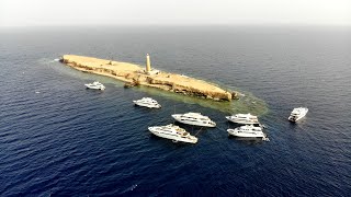 Brothers Islands Daedalus Reef und Elphinstone [upl. by Rourke]