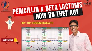 Penicillin and Beta Lactams How Do They Act [upl. by Sebastian429]