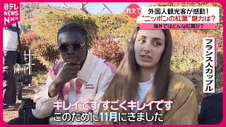 【見頃迎えた“日本の紅葉”】外国人観光客が語る魅力は？ [upl. by Eenaj906]