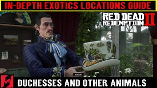 Red Dead Redemption 2 All Exotics Locations Guide  Duchesses and other Animals [upl. by Cagle]