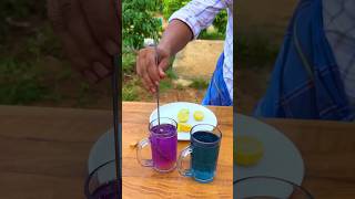 Blue tea ☕️ നീല ചായ ഉണ്ടാകുന്ന കണ്ടോ ഗയ്‌സ് 🔥💙firoz ikka trending tea 🌱🪻🌺 [upl. by Aifas]