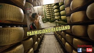 Salatura e stagionatura del Parmigiano Reggiano [upl. by Niraa523]