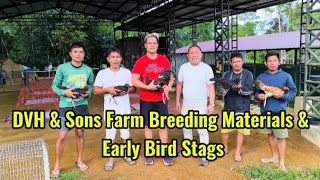 DVH amp Sons Breeding Materials amp Battle Stags [upl. by Adas]