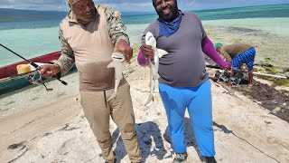 BABY BLACKTIP SHARK  CATCH CLEAN AND COOK  AMAZING SHARK NUGGETS short outdoors [upl. by Geraldine]