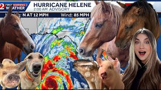 WE ARE READY Preparing For MAJOR HURRICANE HELENE With All My Pets [upl. by Auqemahs]