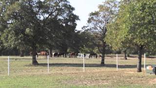 Luxury Horse Ranch FOR SALE [upl. by Eneiluj]