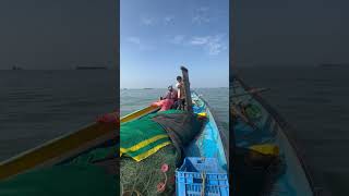 చిన్న పడవతో సముద్రంలోకి వెళ్తారా 🛶🚢rajukare trending boats fisherman fishermanslife boating [upl. by Enatan]