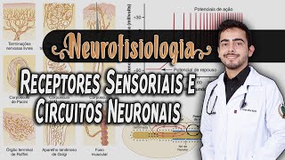 Fisiologia  Receptores Sensoriais e Circuitos Neuronais Capítulo 4746 PARTE 12│ GUYTON [upl. by Nivad608]