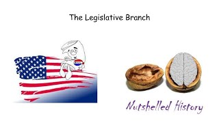 The Legislative Branch  Nutshelled American Government [upl. by Irama237]