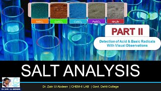 Salt Analysis  Detection of Acid amp Basic Radicals  Visual Observations  Chemistry XII Practical [upl. by Ylrahc]