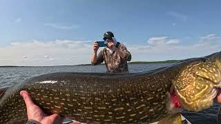 Catching Giant Pike on Topwater and Trolling [upl. by Gaynor902]