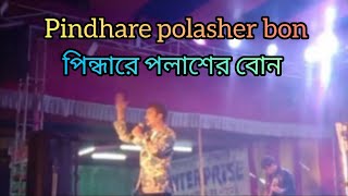 PINDARE POLASHER BON  পিন্দারে পলাশের বোন । [upl. by Odnomar886]