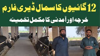 How to Start Dairy Farm Business  Small Cow Breeds in Pakistan [upl. by Turnbull]